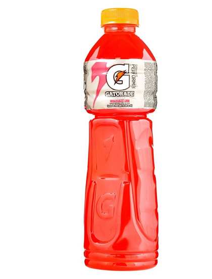 Gatorade Fruit Punch 600ml