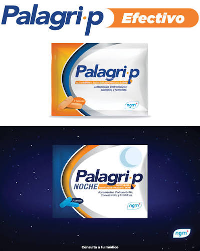 PALAGRIP NOCHE LIMON MIEL GRANULADO 17g